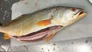 BBQ CYNOSCION ACOUPA FISH CUTTING  SKILLS 🔥#YouTube video