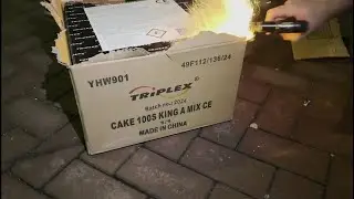 Triplex YHW901 100 shots