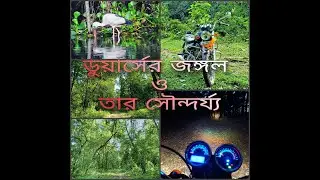 WILDLIFE OF DOOARS