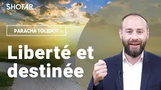 Paracha Toledot : Libert&eacute; et destin&eacute;e &ndash; Rav David Partouche