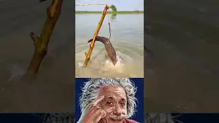 What A Creative Fishing Technique 😱🐠#shorts#fishing #creative