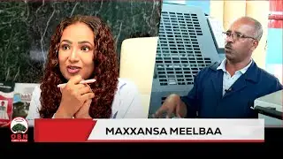 Maxxansa Meelbaa