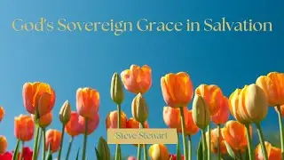 God's Sovereign Grace in Salvation Part 1 by Steve Stewart