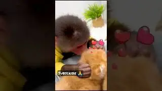 Cute Monkey Takes care Baby 🐱 #Shorts #subscribe #youtubeshorts