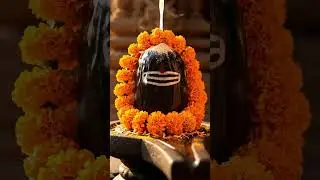om nmo shivaye 🙏❤️
