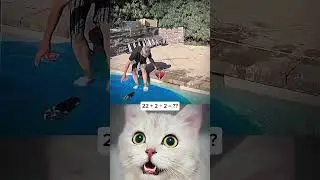 Trusting Your Father Too Much 💀🌊 #funny #memes #cat #trending
