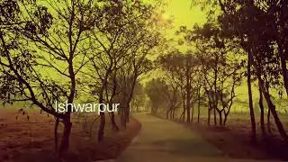 Cuttack to Gupti Self Drive Road Trip | Bhitarkanika | Habalikhati Nature Camp | Rural Odisha