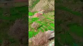 Natural beauty of Batangi pashto Allai kpk beautiful battagram #smartphone #beautifulkpk #travel