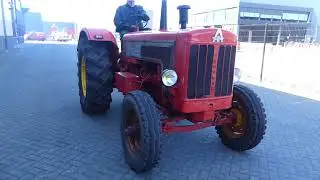 Hanomag Robust 800 for sale at VDi auctions