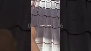 Vopsitor la acoperiș