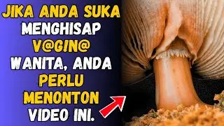 Mengapa Wanita Tertarik pada Pria di Atas 60 Tahun &ndash; Pemicu Tersembunyi dalam Psikologi Wanita