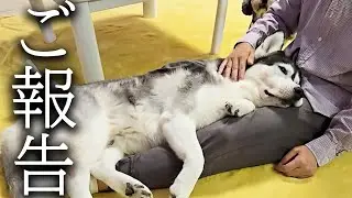 今まで応援してくださった皆様へ大切なご報告...