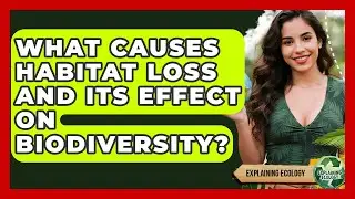 What Causes Habitat Loss And Its Effect On Biodiversity? - Explaining Ecology