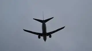 Boeing 737 crosswind landing Hamburg