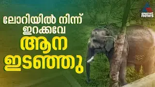 തൃശ്ശൂരിൽ ലോറിയിൽ നിന്ന് ഇറക്കുന്നതിനിടയിൽ ആന ഇടഞ്ഞു; വീടുകളുടെ ​ഗേറ്റ് തകർത്തു