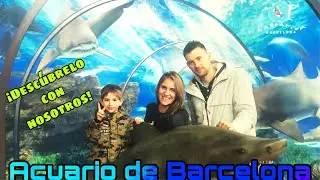 Acuario marino 🐠| Visitamos el acuario de Barcelona en familia 👪ANDEVLOGS