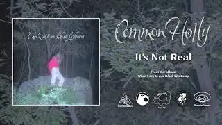 Common Holly - It's Not Real