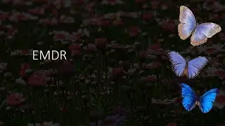 EMDR | Visual meditation | Self-administered | Healing