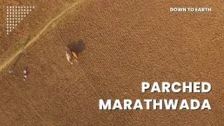 No Relief for Marathwada Droughts: Failure of the Jalyukt Shivar Abhiyan