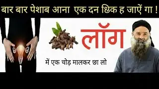 Rumi Quotes Hindi /Best Urdu Quotes on Life/Hazrat Ali Quotes / Motivational Quotes about Life Hindi
