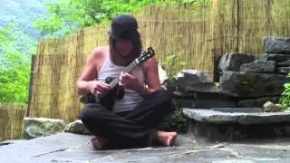 Scarborough fair on ukulele by Jan Laurenz