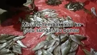 Misi menembak ikan ke hulu sungai ulu bunau #menembakikan 