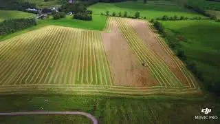 Combining Organic Spring Barley at Ingram