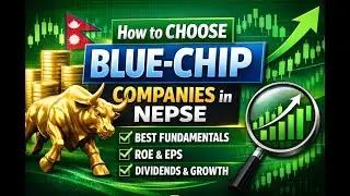 How to Choose Blue-Chip Companies in NEPSE | Best Fundamentals Explained