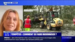 Tempête Ciaran Romain Bonenfant, DG de la Fédération Française des Télécoms sur BFMTV