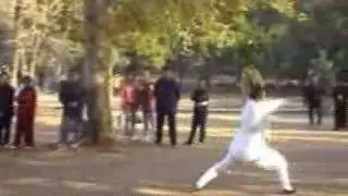 Chinese Wushu - Wudang Kung Fu (Dragon Form) 武当功夫－龙华拳
