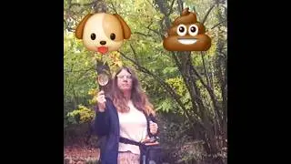 Poop Patrol: An Autumn Odyssey