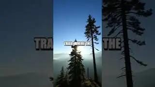 Mesmerizing Adventure in the Smoky Mountains