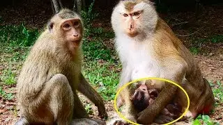 Belley Requests baby from Ella, Feeling Million Sad Lost Beliona For 6 days Ago Now Lonely