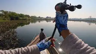 TOMAN fishing in MYANMAR MDY EP (205) #sightcasting #toman 