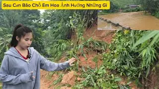 CẬP NHẬP TÌNH HÌNH CHỖ EM HOA SAU CƠN BÃO BỊ ẢNH HƯỞNG NHỮNG GÌ 