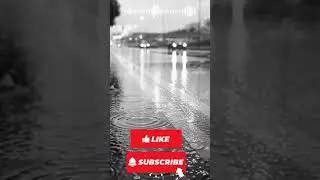 💔 Deep Feeling Moment 🎧 | Emotional Melancholic House | Full Mix on Channel