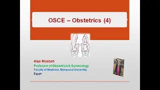 OSCE &ndash; Obstetrics (4)