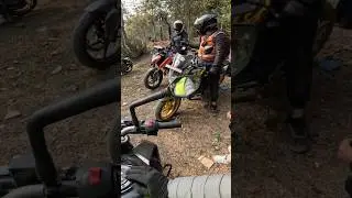 Вилли Хандину Парио Рей 🤣