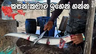 හබරලියෙක් කපන විදිහ ඉගෙන ගන්න 🔥🔥 | garfish cutting skills 🔥 