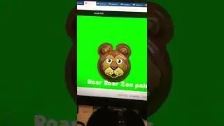 ZooPals in 2016 🐞🐧🦏🦁🐍🐥