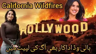 Terrible Fire In Los Angeles | Bollywood Actress Nora Fatehi in Trouble @IBRKTV