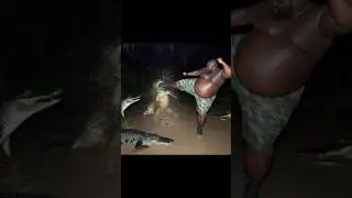 kicking alligator and eating pizza time