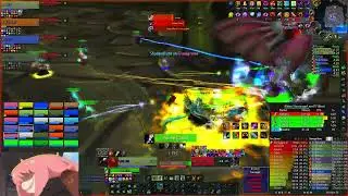Netherwing WOW TBC / Wasted Potential EU Guild 06/13/24. BM hunter POV