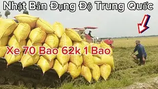 Cập Nhật Nâng Sức Giá Lúa Công Trên Tấn Lúa Đài Thơm 8 Bán Ra 6.700đk l Dũng Miền Tây TV