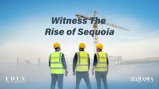 Witness The Rise of Sequoia