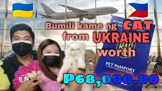 BASIC #7 | WORTH 68k EXOTIC LONG HAIR CAT FROM UKRAINE | PICK UP AT NAIA AIRPORT | PAIR-PAGS CENTER