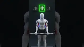 Change Your Grip, Change Your Biceps subscribe for more videos #motivation #gymexercises