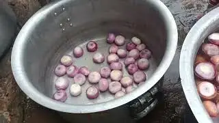 दोस्तों अस्सलाम वालेकुम प्याज छीलने का नया तरीक🌰🍲 हमारे चैनल को लाइक औरसब्सक्राइब करें