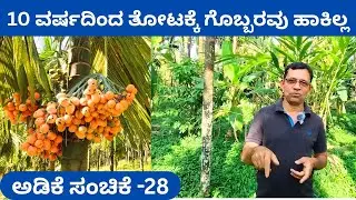 ರಾಸಾಯನಿಕವೂ ಇಲ್ಲ ಸಾವಯವವೂ ಇಲ್ಲ‼️ಏನಿದು ನೈಸರ್ಗಿಕ ಅಡಿಕೆ ತೋಟ ⁉️ಜನ ಹುಚ್ಚ ಎಂದರು @ದಿನೇಶ್ ಕೊಕ್ಕಡ