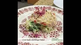 Zero Waste Pop Up Dining Experience by Chef Ronan Fox - Menu video